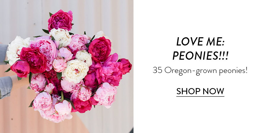 LOVE ME: PEONIES!!!  35 Oregon-grown peonies!  SHOP NOW