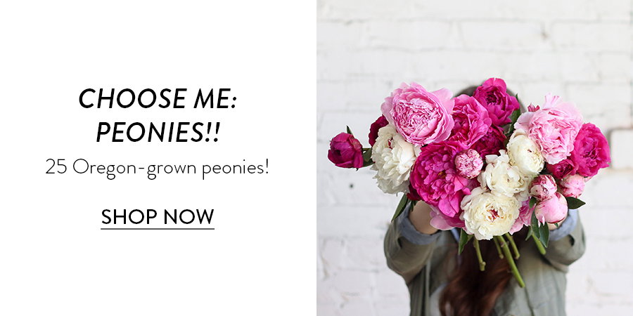 CHOOSE ME: PEONIES!!!  25 Oregon-grown peonies!  SHOP NOW