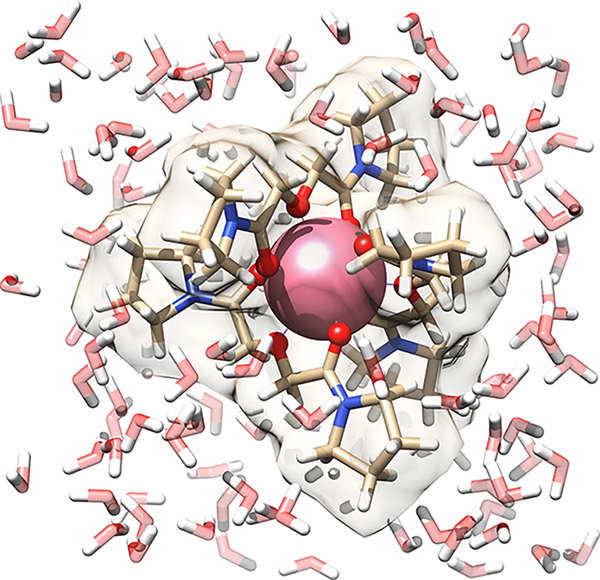 3D illustration of the Pm complex surrounded by water molecules.