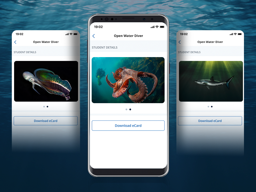 Exclusive PADI Club eCard Designs