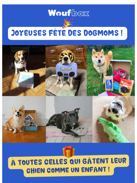 ❤️ Joyeuse fête des dogmoms