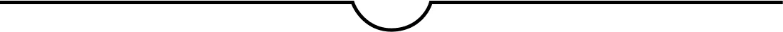 Image description: A divider line
