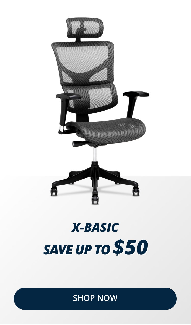 X-Basic DVL Task Office Chair