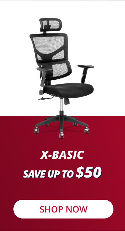 X-Basic DVL Task Office Chair