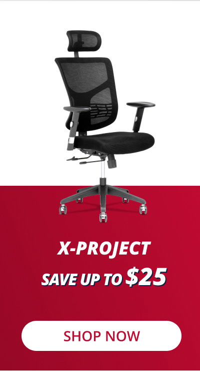 X-Project Office Chair