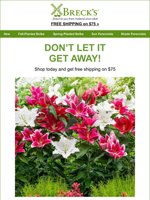 Breck's: Hey, do you remember this? Get free shipping today! | Milled