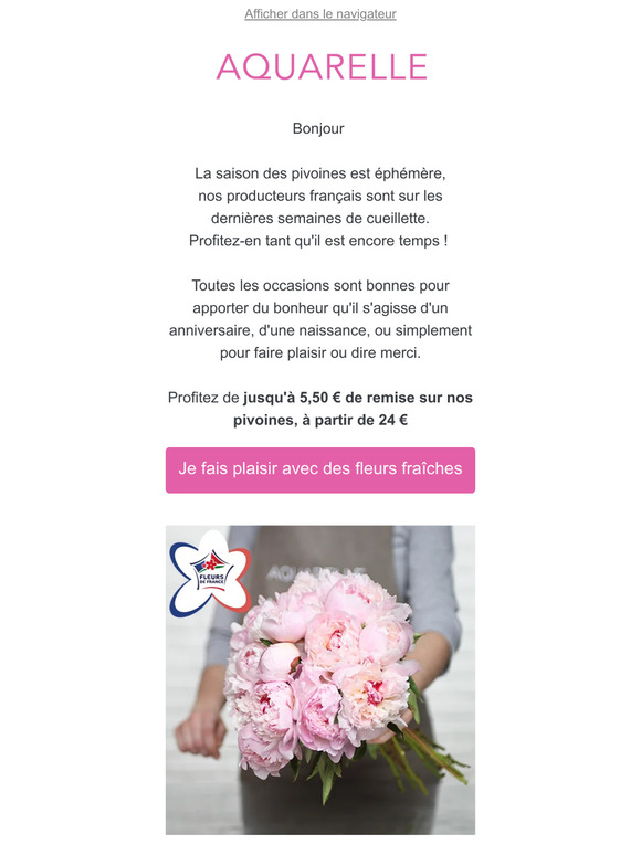 Profitez de nos pivoines dès 24 €