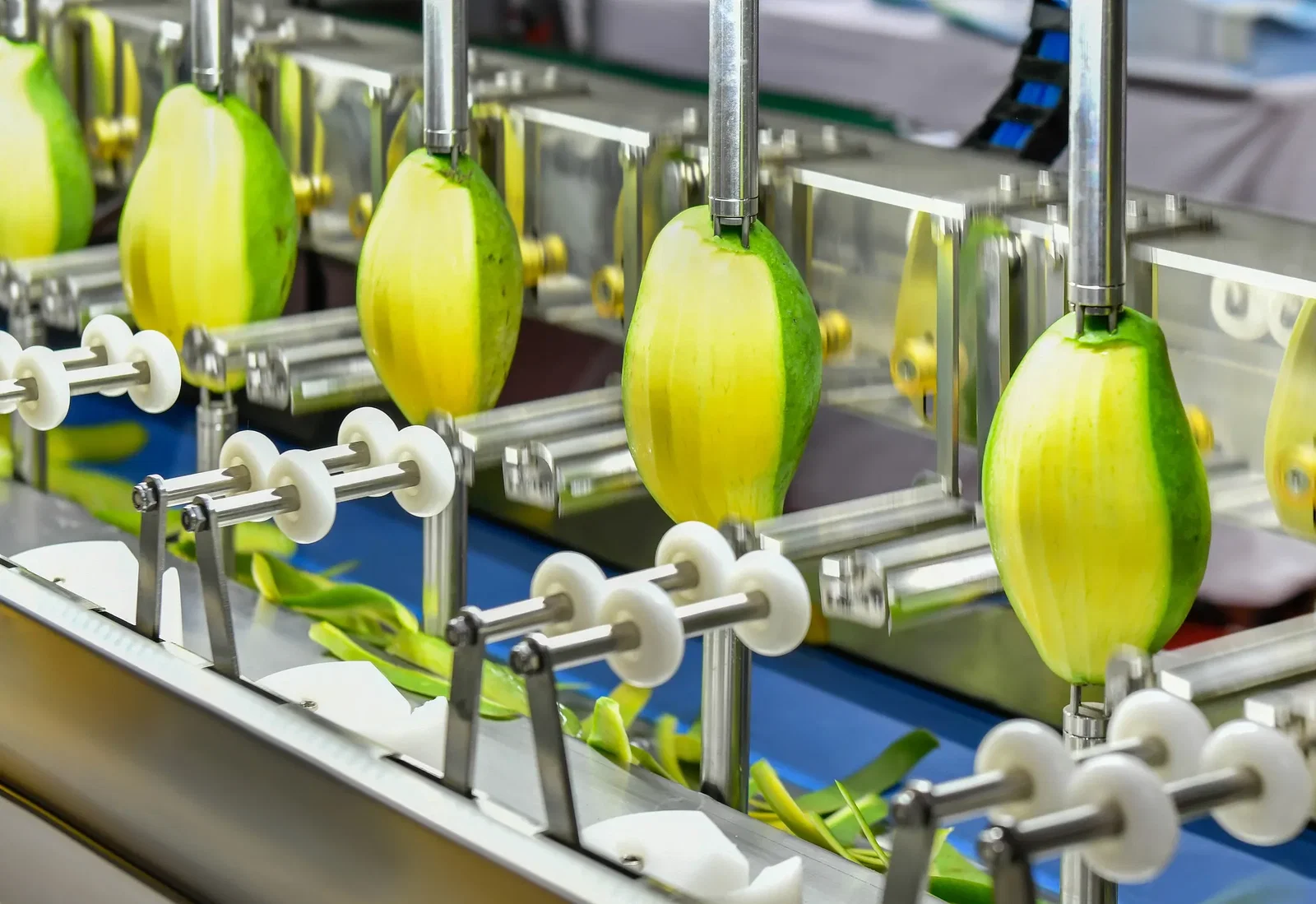 Mango peeler in factory with halfway peeled mangoes.