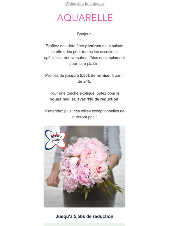 Pivoines ou Bougainvillier ? A partir de 24€ seulement !