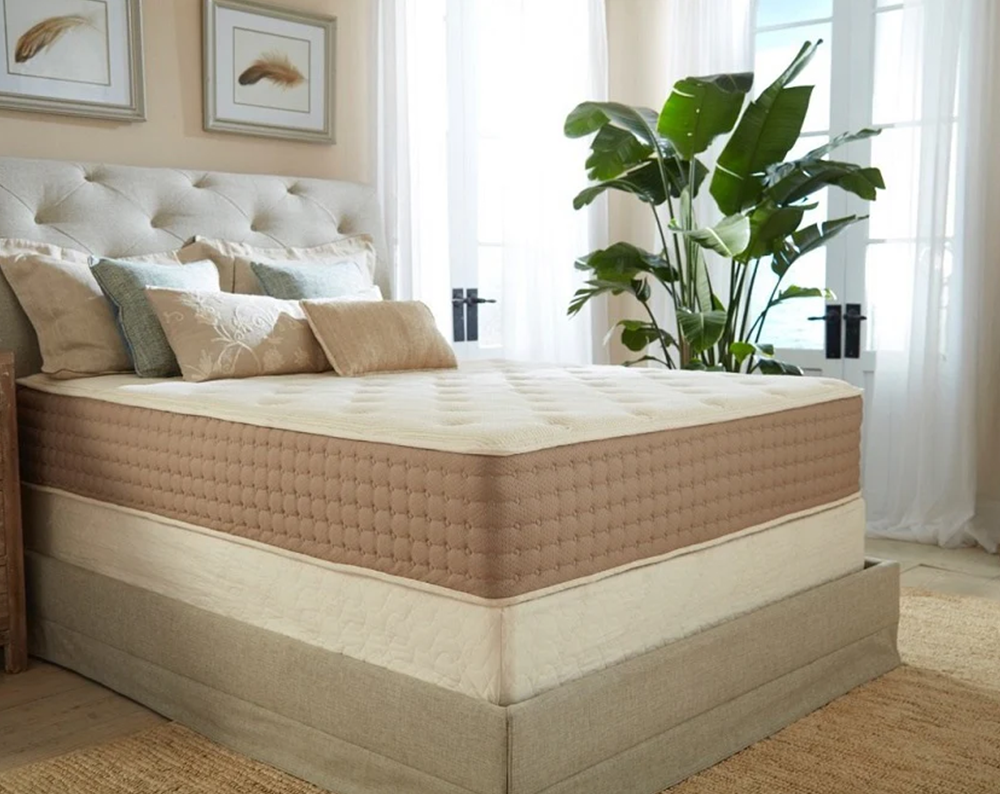 Eco Terra Beds 📝 Top 10 Reasons People Choose Latex Milled