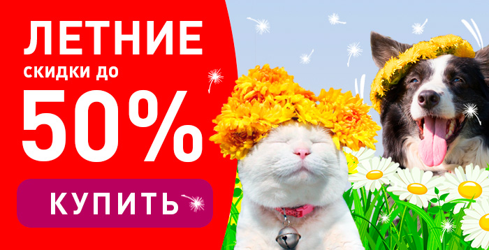 Большая распродажа! Скидки до 50% на всё для любимого питомца!