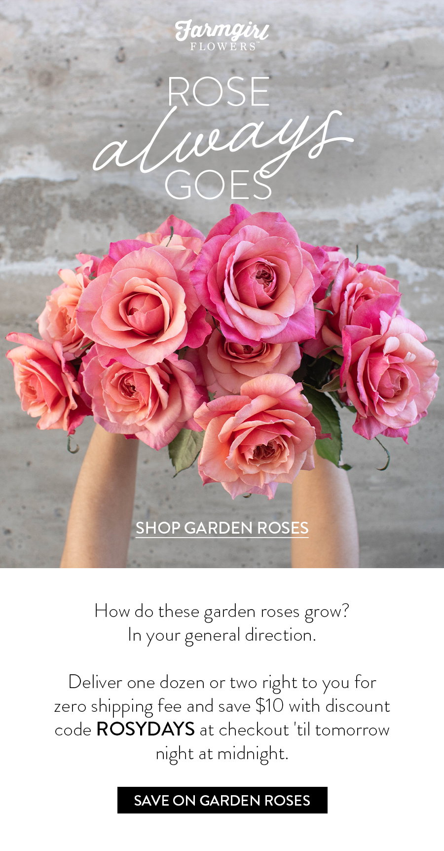 How do these garden roses grow? In your general direction.  Deliver one dozen or two right to you for zero shipping fee and save $10 with discount code ROSYDAYS at checkout 'til tomorrow night at midnight.