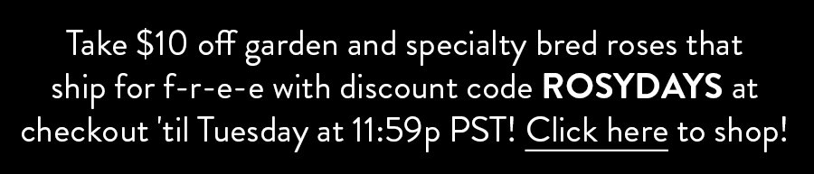 Take $10 off garden and specialty bred roses that ship for f-r-e-e with discount code ROSYDAYS at checkout 'til Tuesday at 11:59p PST! Click here to shop!