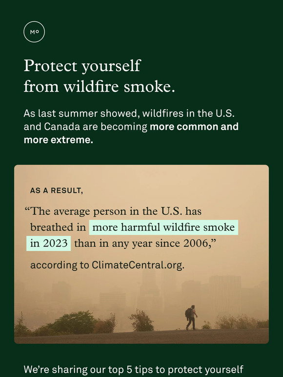 Molekule: How to protect yourself from wildfire smoke 🔥 | Milled