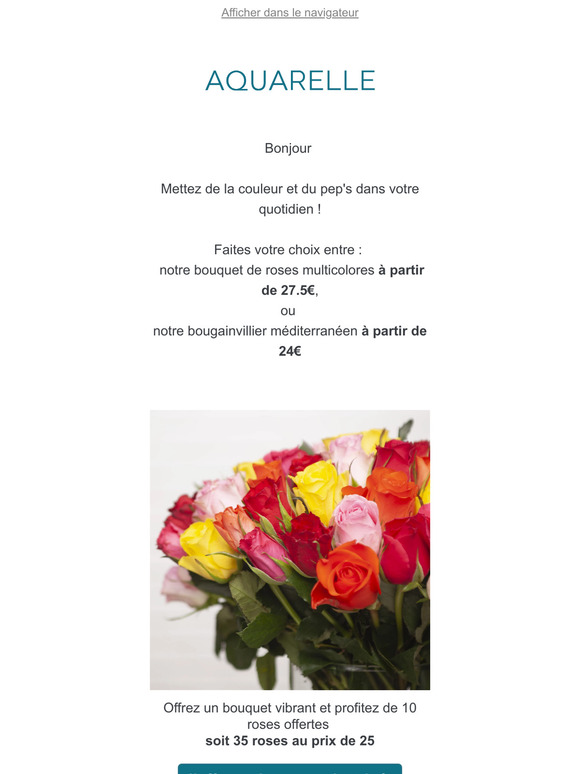 Éclat et couleurs dès 24€ – À saisir maintenant !