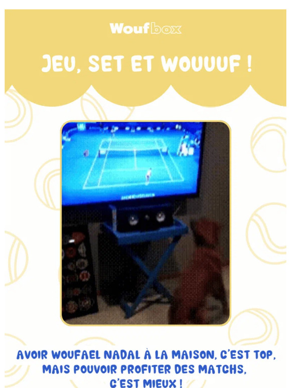 🎾 Il se prend pour Woufael Nadal et cache la télé ?