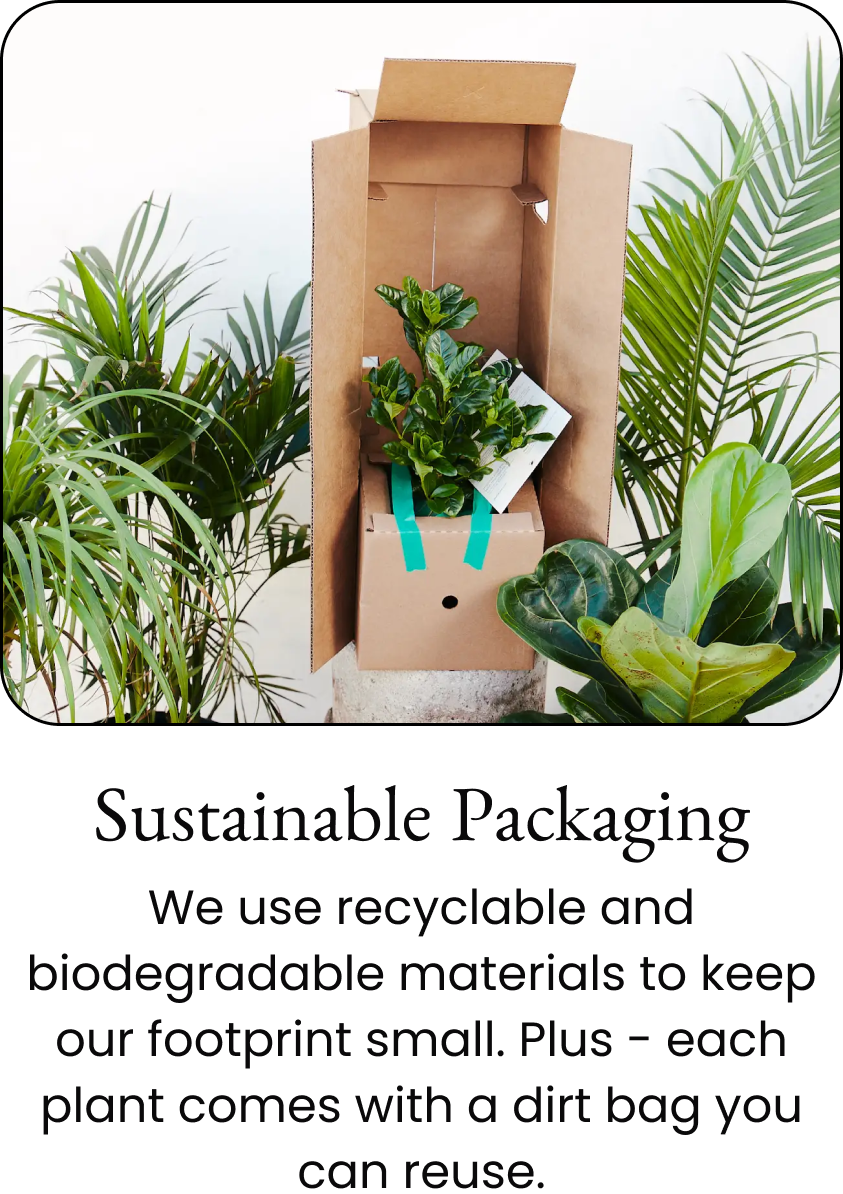 Sustainable Packaging