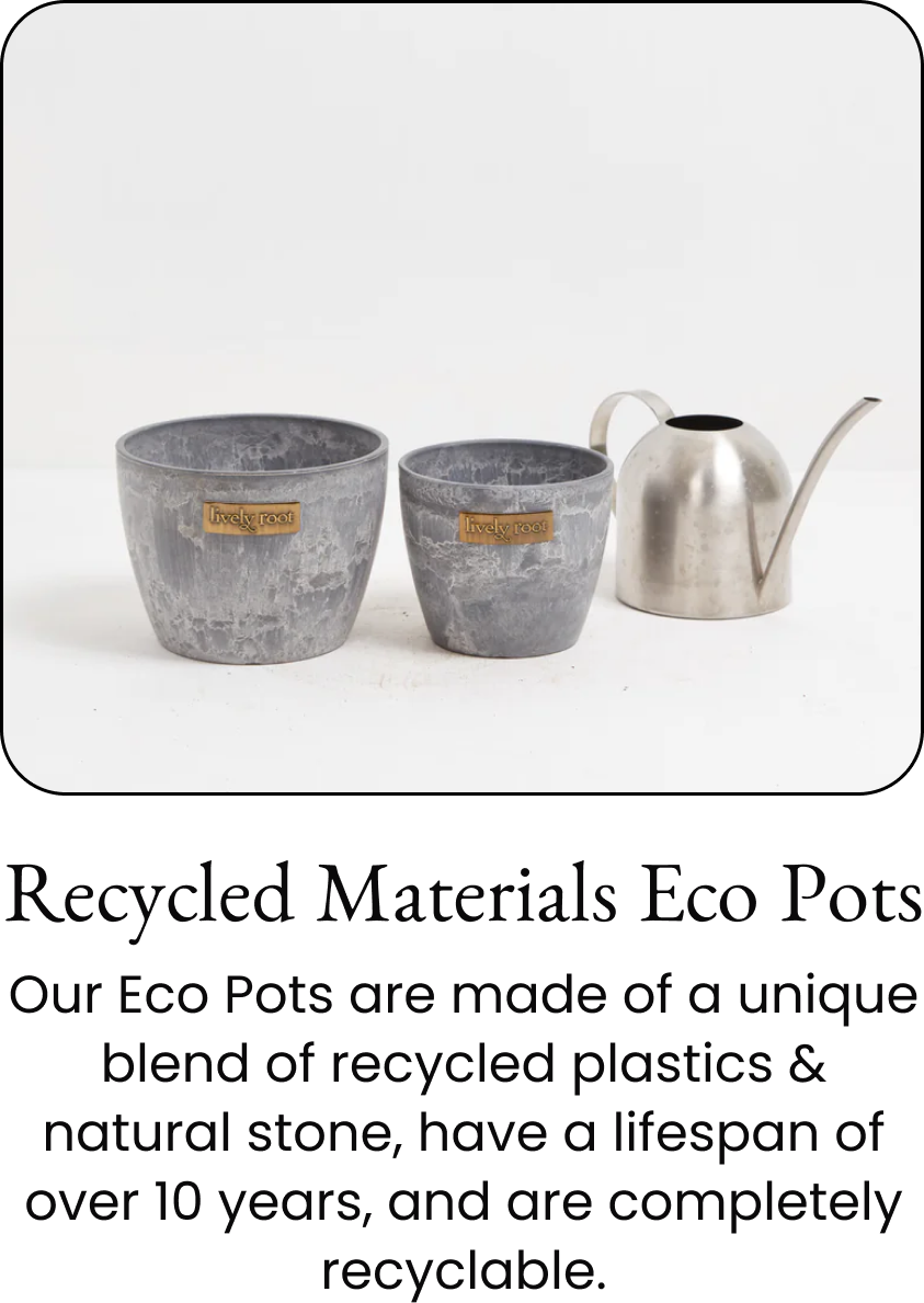 Recycled Materials Eco Pots
