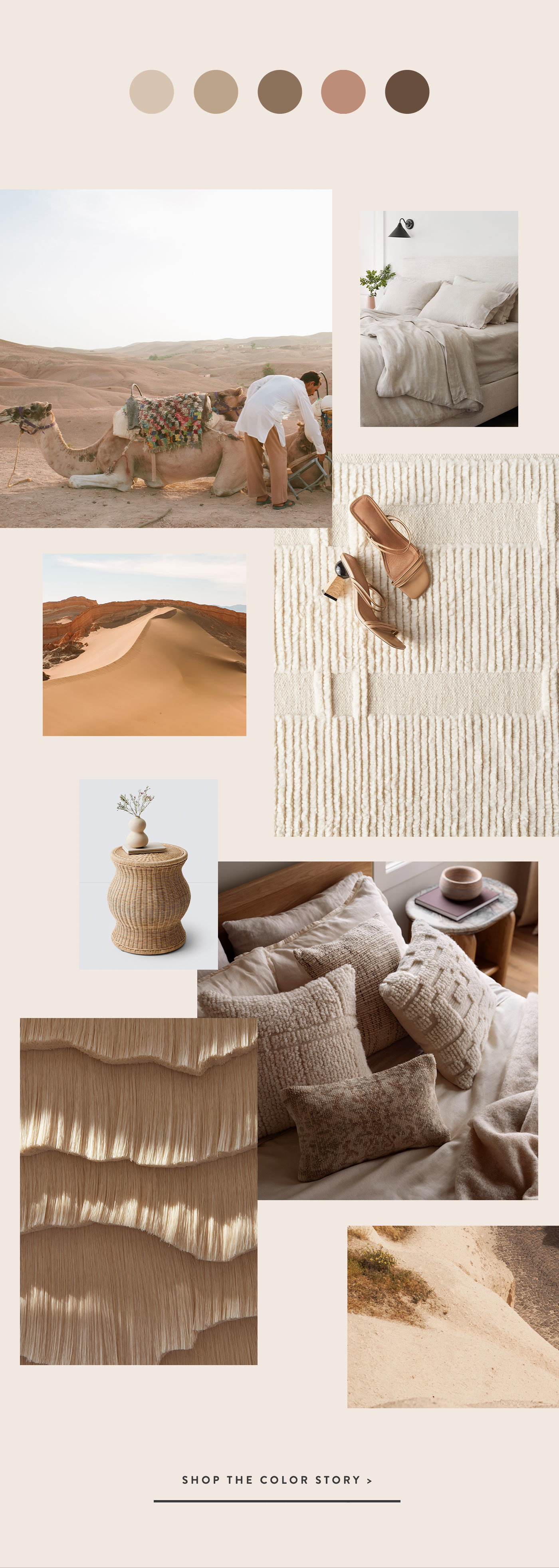 Shop The Color Story