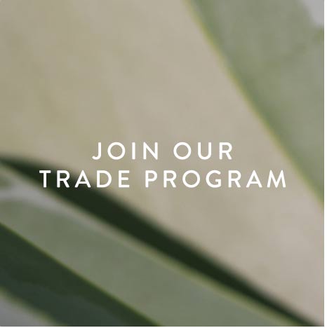 Join Our Trade Program