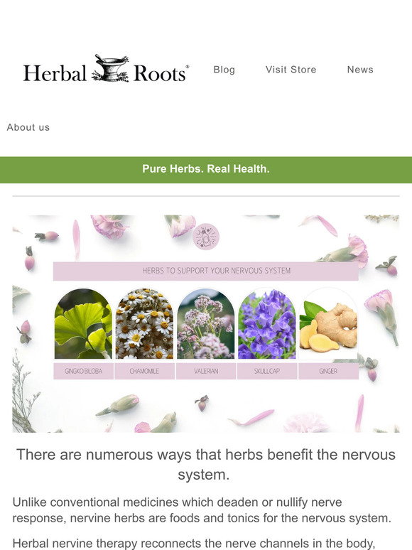 Herbal Roots: Herbs to Support Your Nervous System | Milled