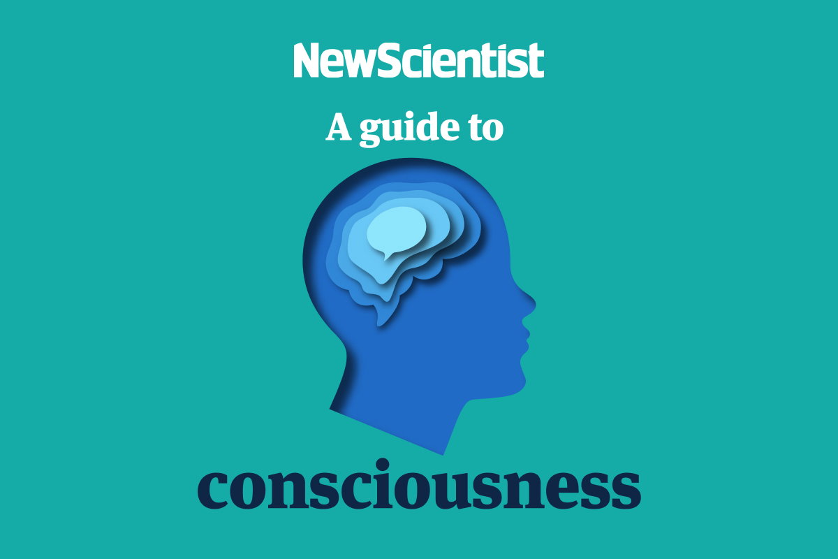 A guide to consciousness. Image links to free article.