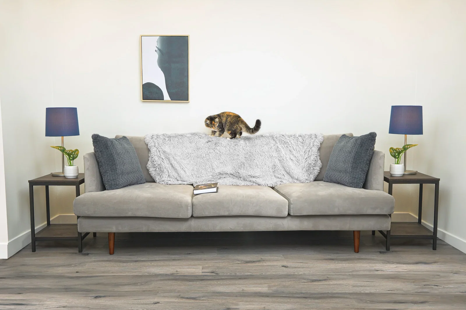 Image of Waterproof Pet Throw Blanket - Long Fur & Velvet