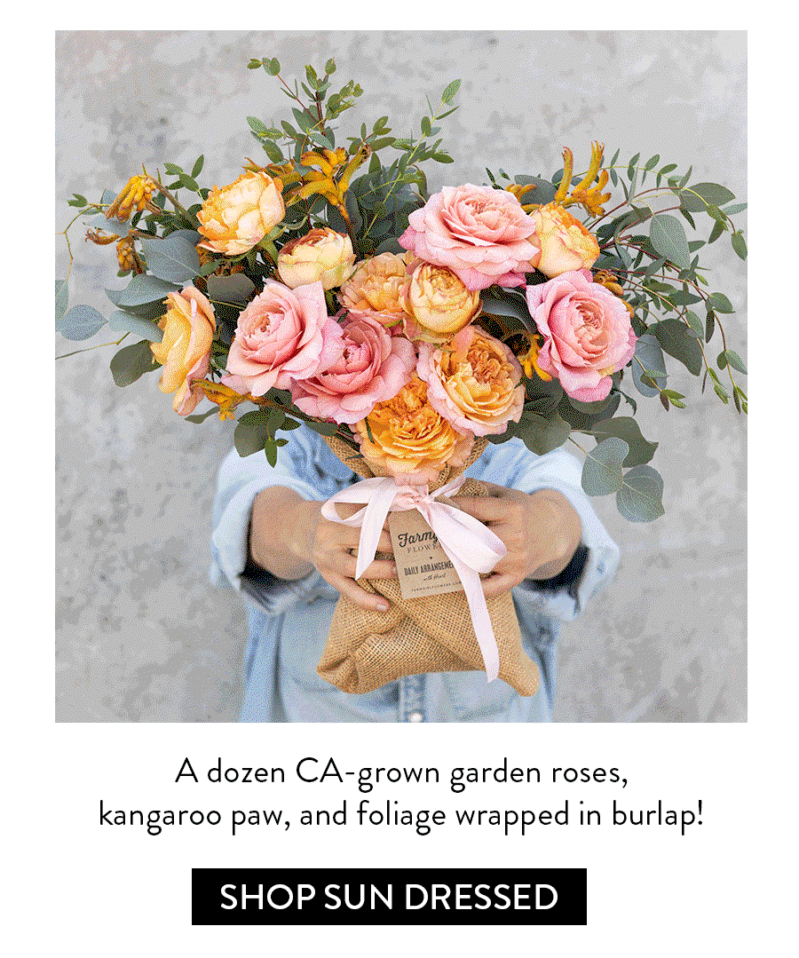 A dozen CA-grown garden roses, kangaroo paw, and foliage wrapped in burlap! Shop Sun Dressed