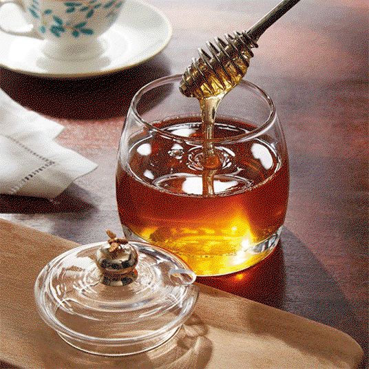 NEW! Culinary Concepts Bee Honey Drizzler