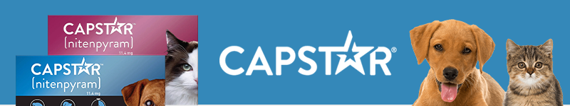 Capstar for Dogs and Cats