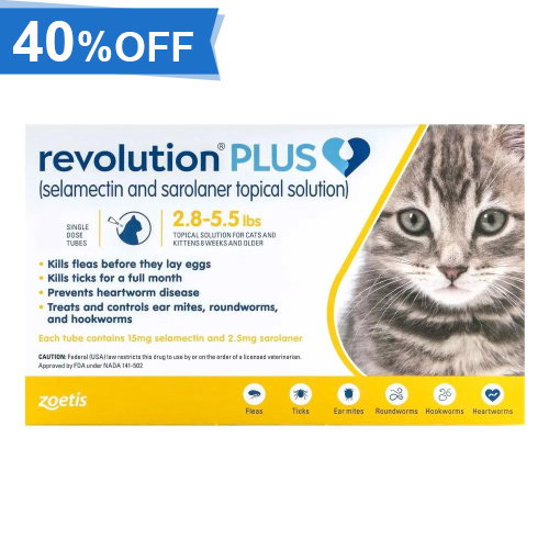 Revolution Plus