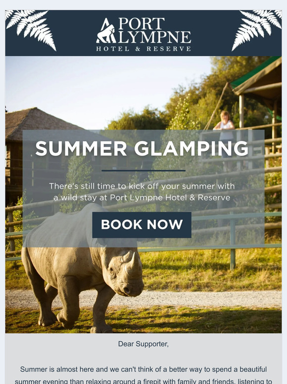Supporter, don't miss out on summer glamping! 🏕️🦁🐻🦒