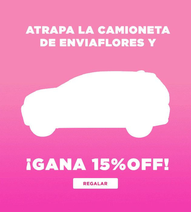 ¡Atrapa la camioneta!