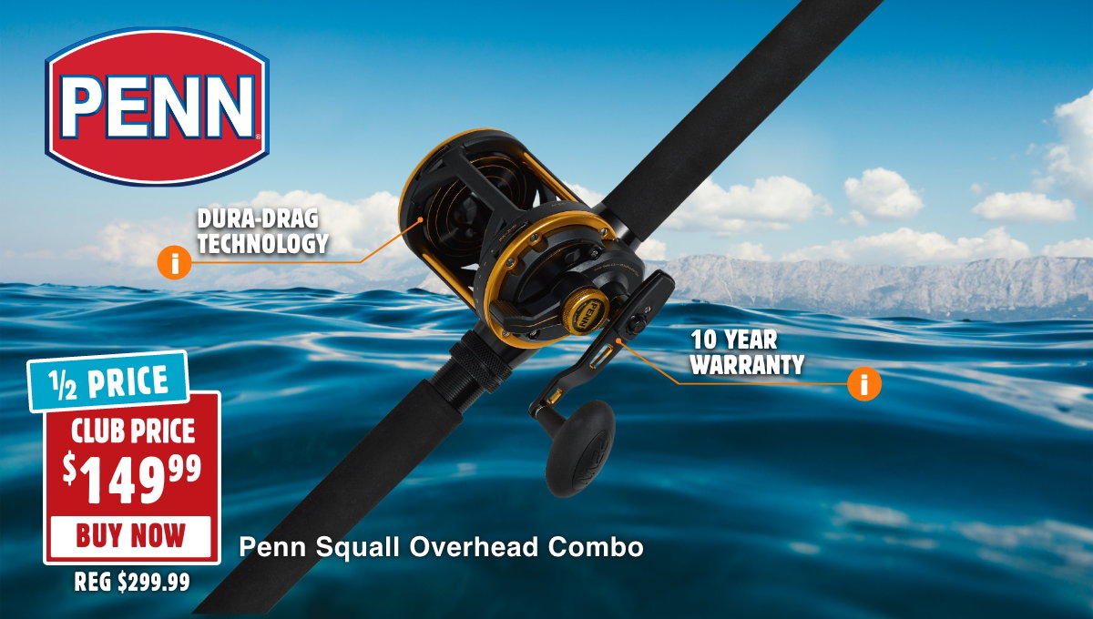 Penn Squall Overhead Combo