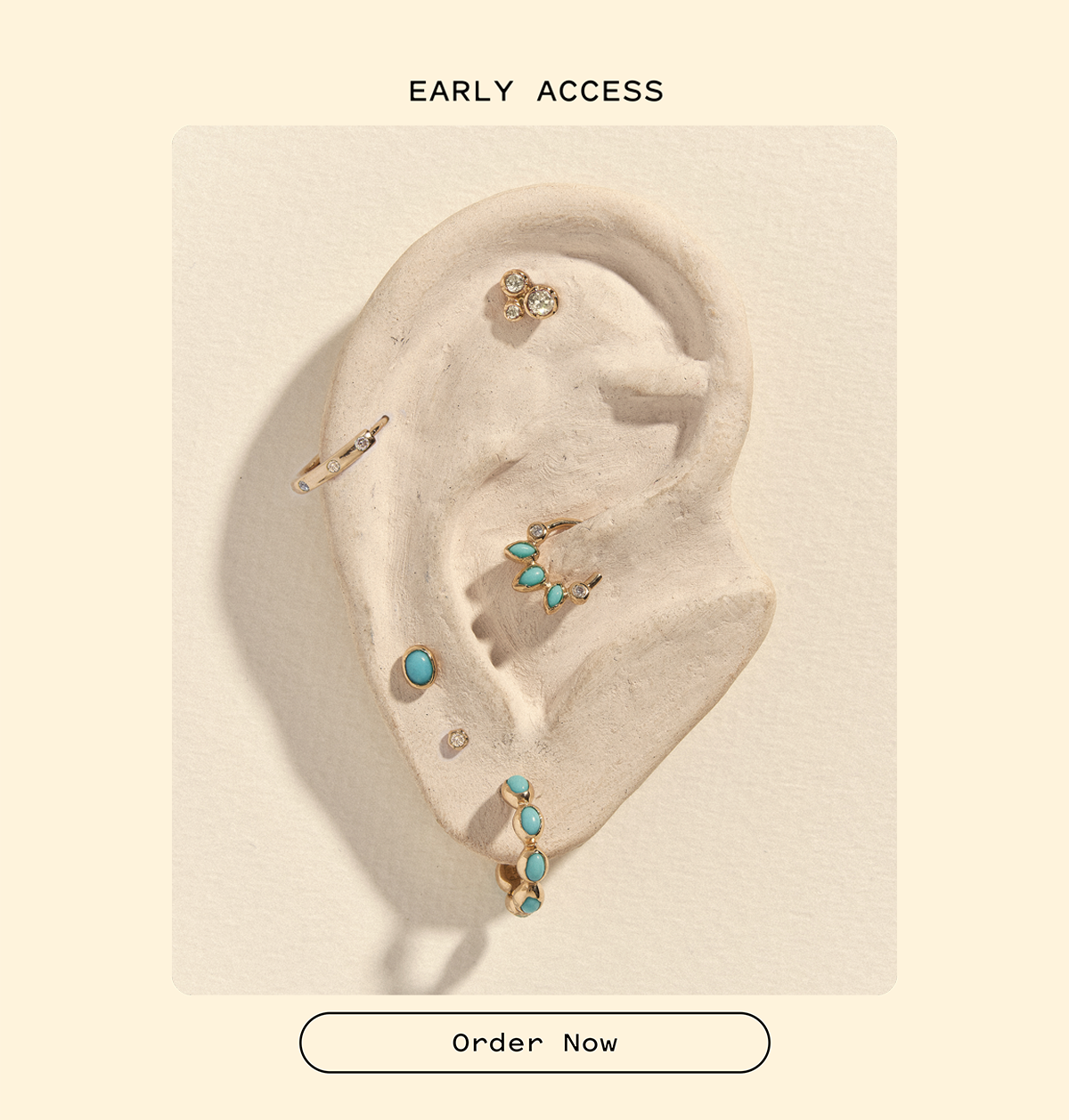 VIP Early Access