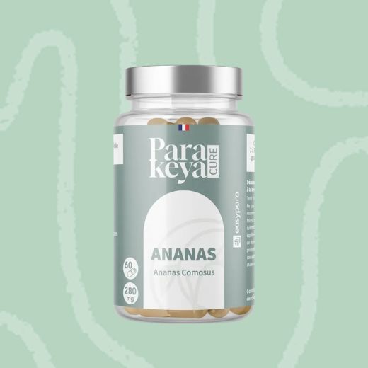 Découvrez l'ananas de Parakeya !