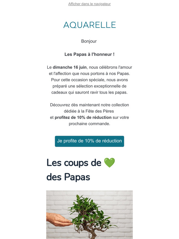 Célébrons les Papas : 10% de réduction 🎁