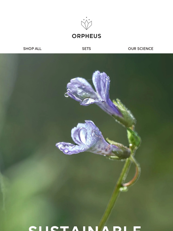 🌸HOW WE CREATE MAGIC FOR YOUR SKIN WITH A FLOWER