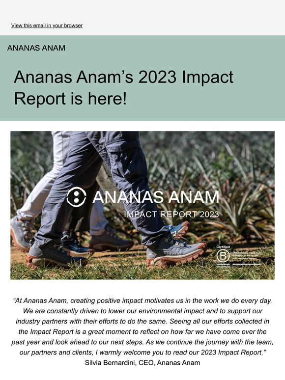 Ananas Anam's 2023 Impact Report is here!