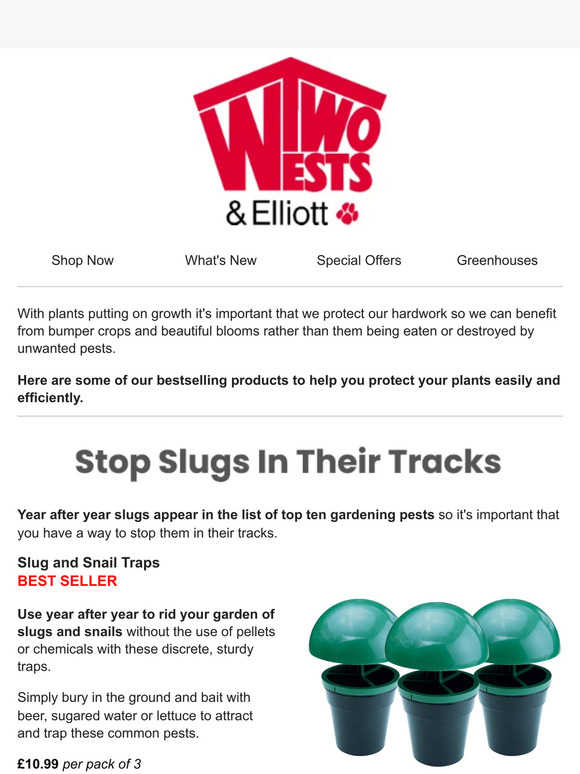 Protect Your Plants From Pests