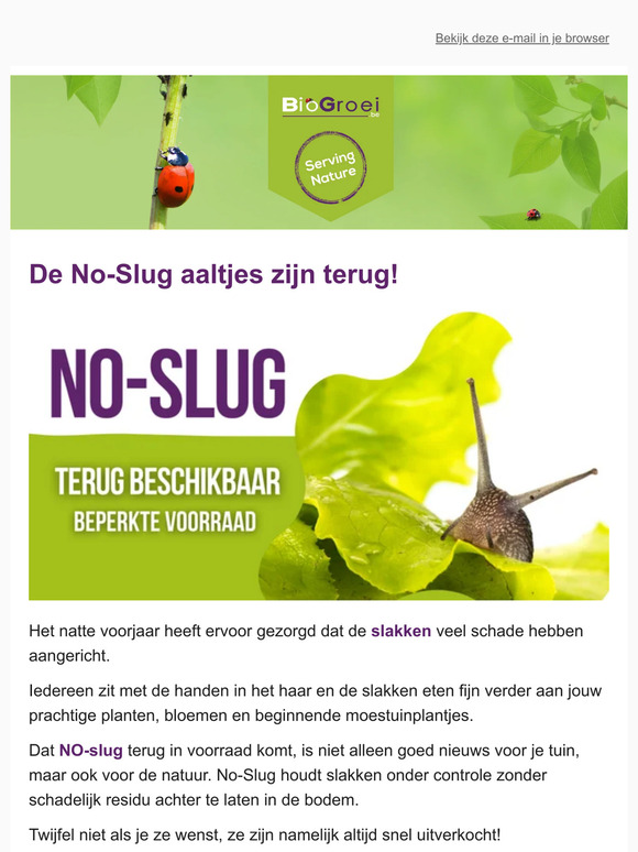 🐞No-Slug terug beschikbaar! | Tuintips juni