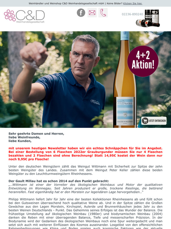 4+2 AKTION: 2022er Grauburgunder - Weingut Wittmann BEST-PRICE