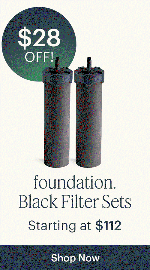 foundation Water Filters; Starting at $112!