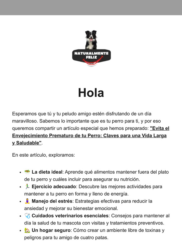 Evita el Envejecimiento Prematuro de tu Perro: