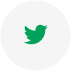 Twitter Icon