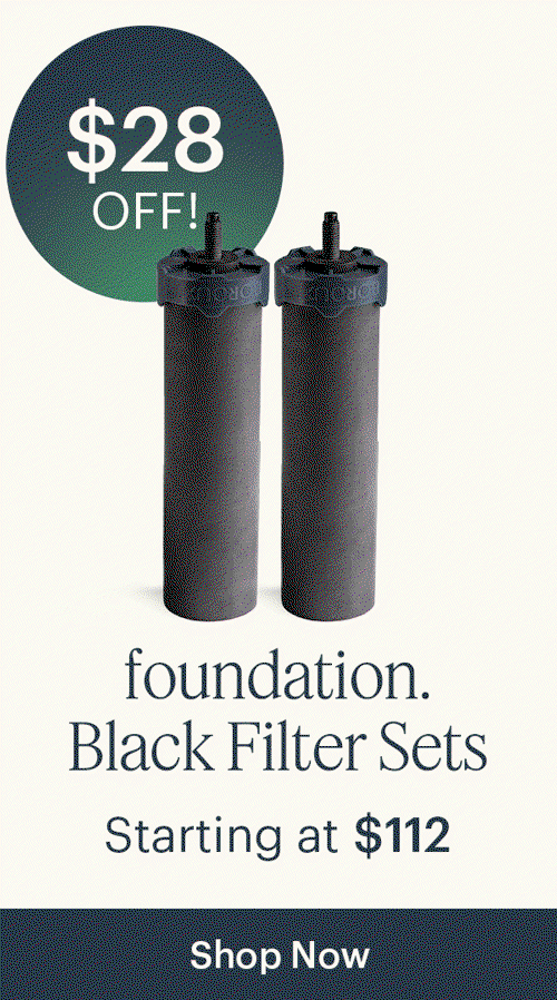 foundation Water Filters; Starting at $112!