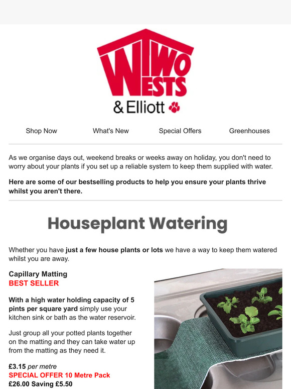 Holiday Watering