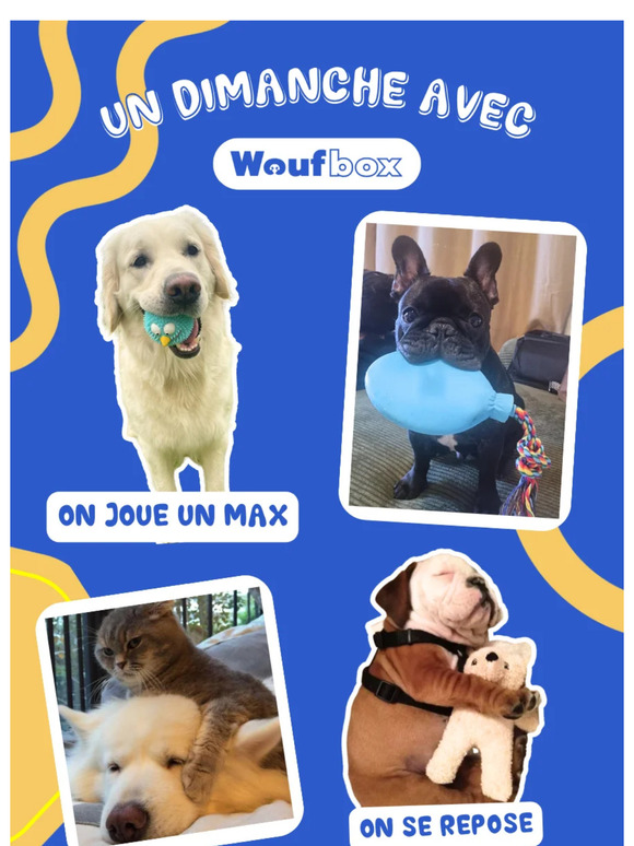 📆 Votre rendez-vous du dimanche