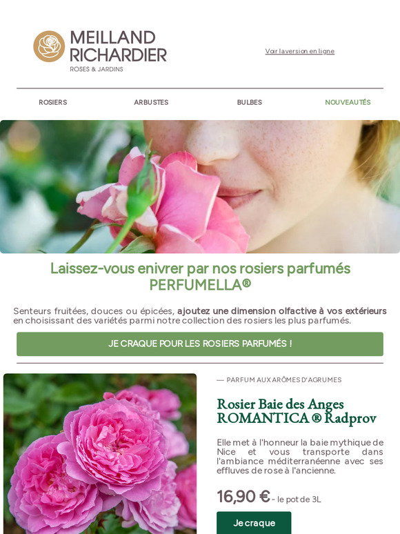 Rosiers Meilland Parfums