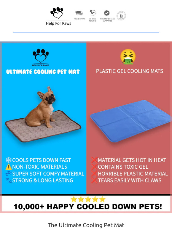 MUST have for ALL Pet Owners During This Hot Weather ☀️